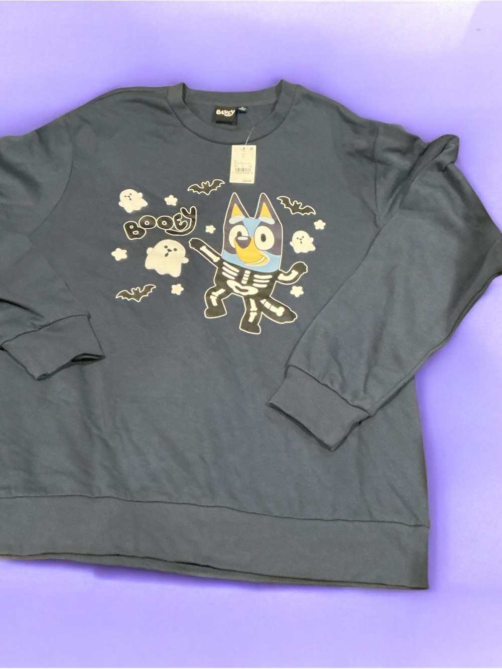 Bluey Halloween BOOey Skeleton Sweatshirt